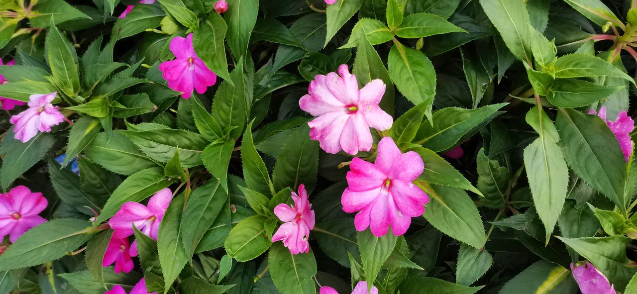 真的搞不懂证劵公司？
因为我的炒股账户好长时间没有信息更新的原因，每次开盘打开电