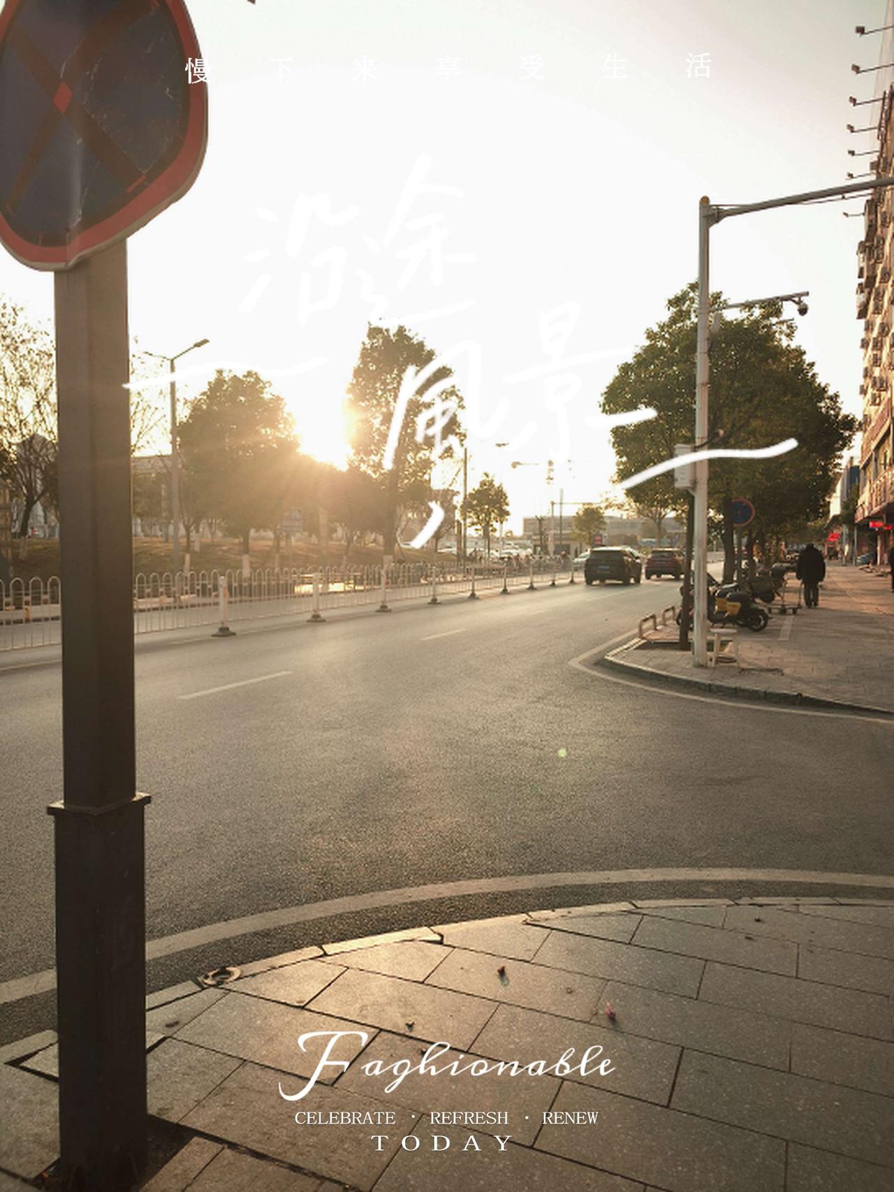 南方的冬天抬头看树