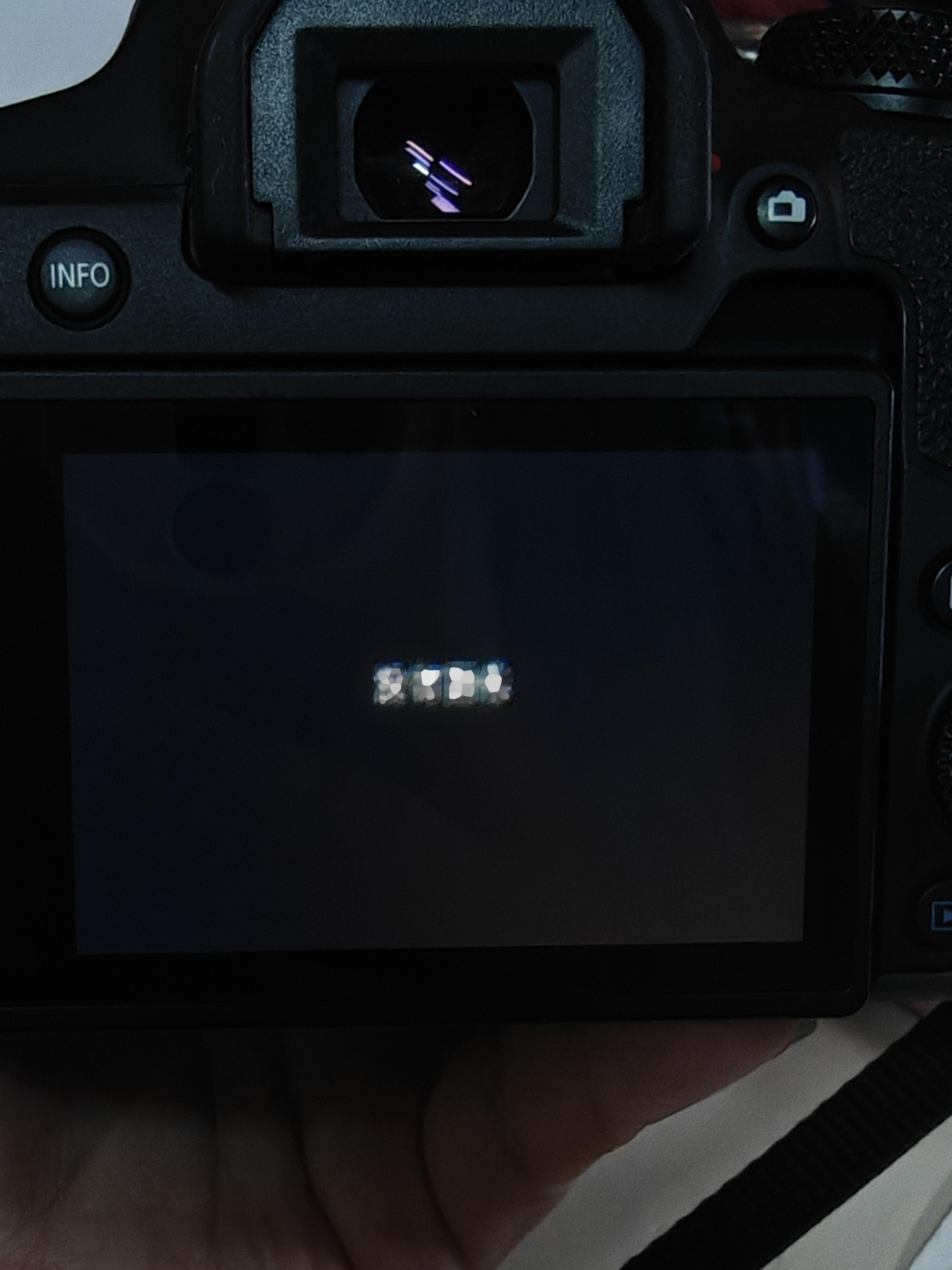 啥意思啊啊啊啊啊sd卡里的东西全没了