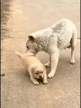 “离家出走”