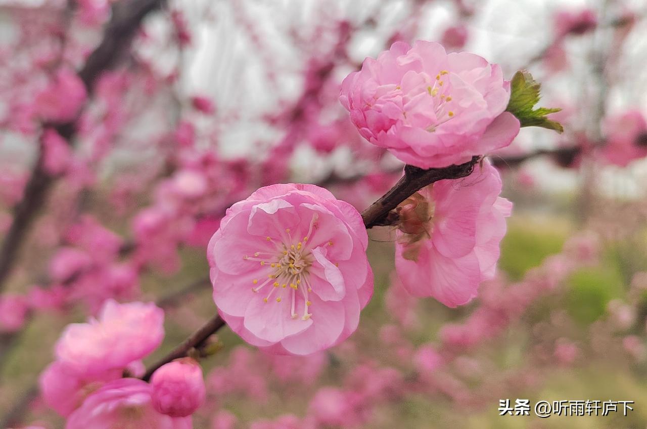 🔥昨夜今晨财经要闻速览 | 2026年7月31日

一、官方重磅消息

📌 
