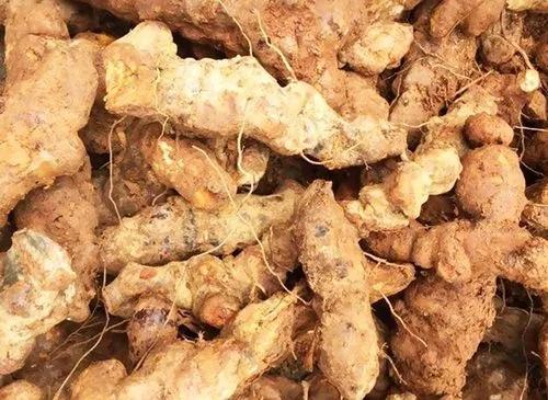 治了十几年前列腺炎，说实话，看见那些让患者吃一辈子药的医生，我恨不得把他们扒皮抽