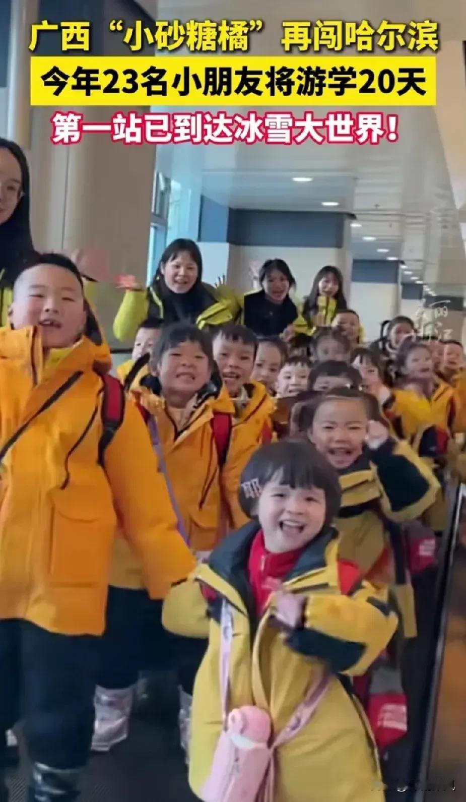 广西小砂糖橘又来哈尔滨游学了，今年人数上面整整翻了一倍！

去年广西某幼儿园的1