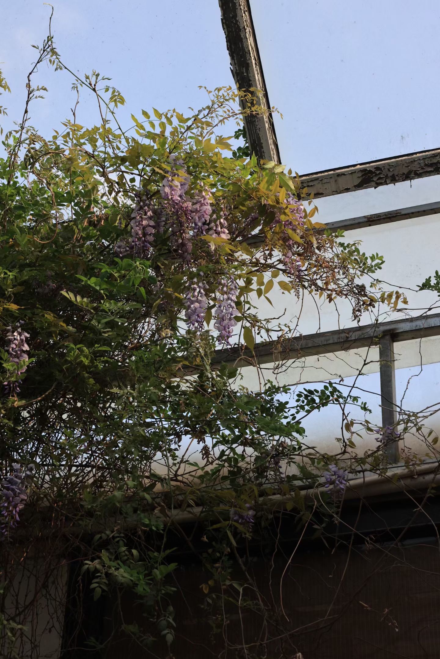 成长是走向真实，而不是走向完美。 