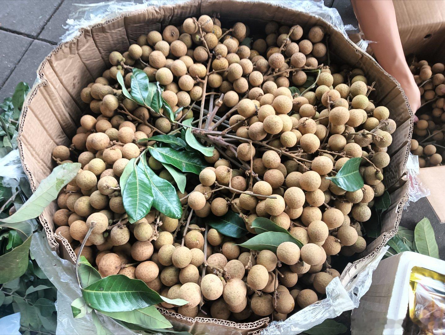 周六又是摆摊的一天！刚开始不习惯现在很适应！我公婆真的好厉害，啥都能种，老公更勤