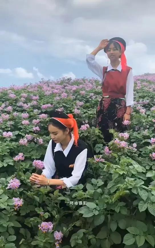 鹤庆马厂新峰安乐之梦
            （张树忠）
       鹤庆西山