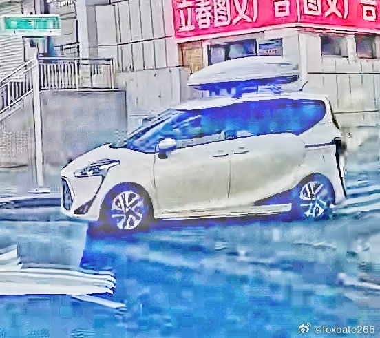 鸟市竟然有港牌偷油獭Sienta。。。真不远万里啊。