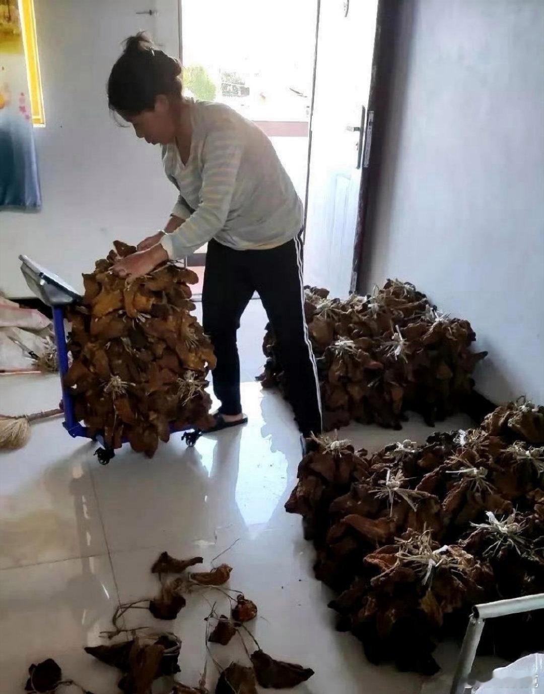 这才是真正的大户人家，太让人羡慕了 