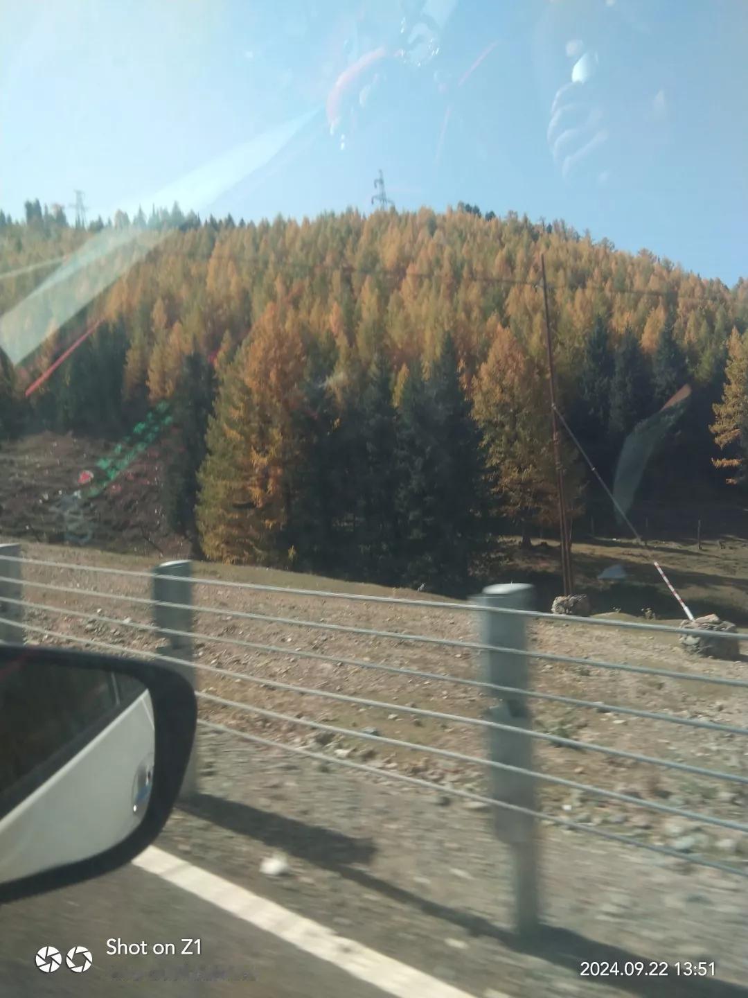 秋色满山红，车行画中行。