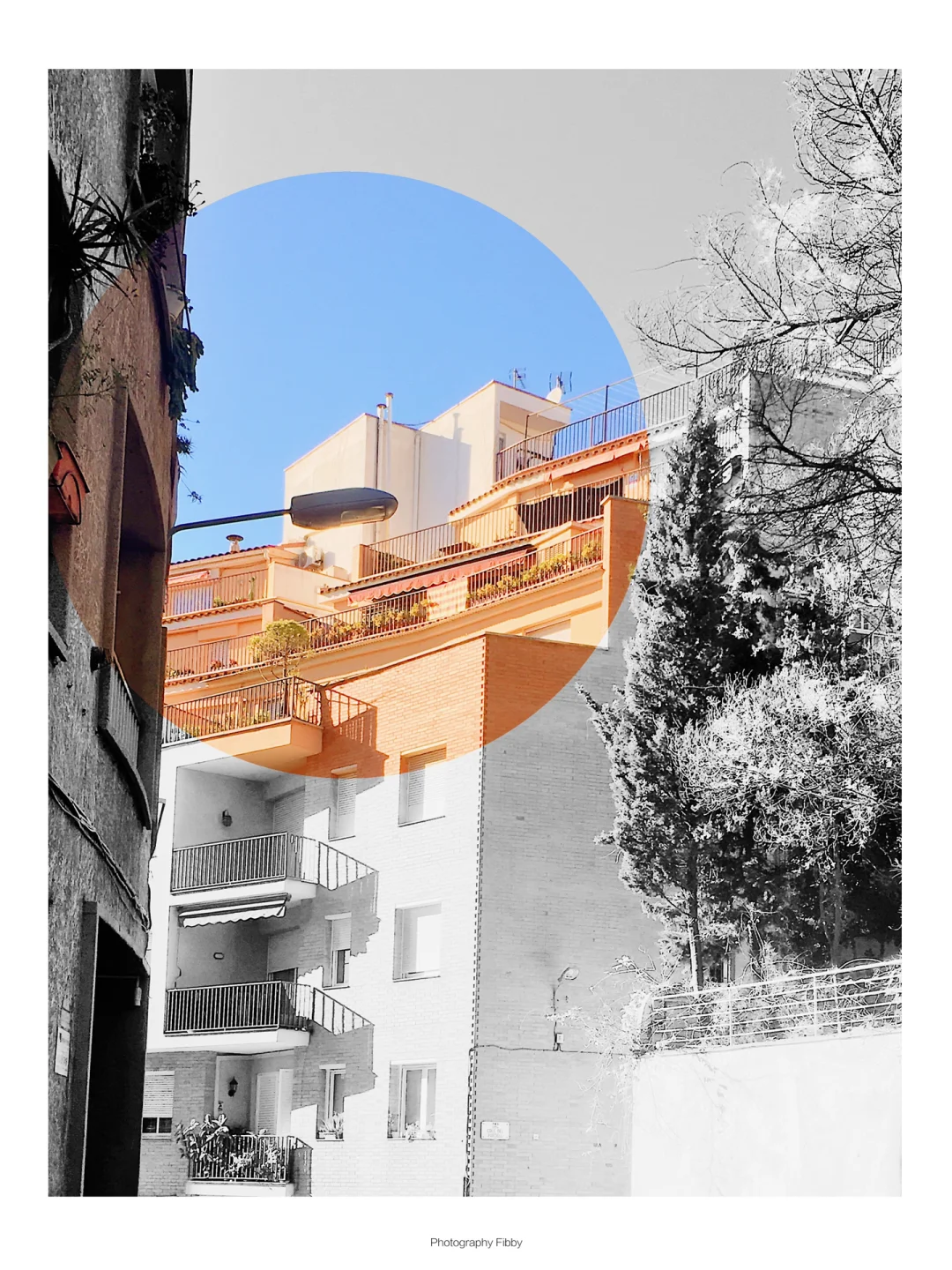 𝒄𝒐𝒍𝒐𝒓🎨醒图拯救废片·我眼中的色彩