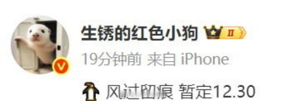 最近的排播瓜龚俊的《风过留痕》12.30龚俊、任敏《我们与法庭的距离》2月杨紫、