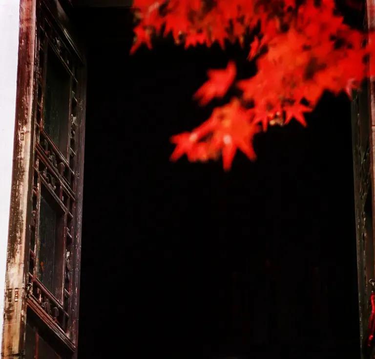 《代悲白头翁》——刘希夷
 
诗中“洛阳城东桃李花，飞来飞去落谁家”“今年花落颜