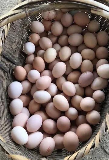 昨天去我乡下的大姨家，我让大姨在乡下给我收了一些土鸡蛋，去之前我给大姨买一桶牛奶