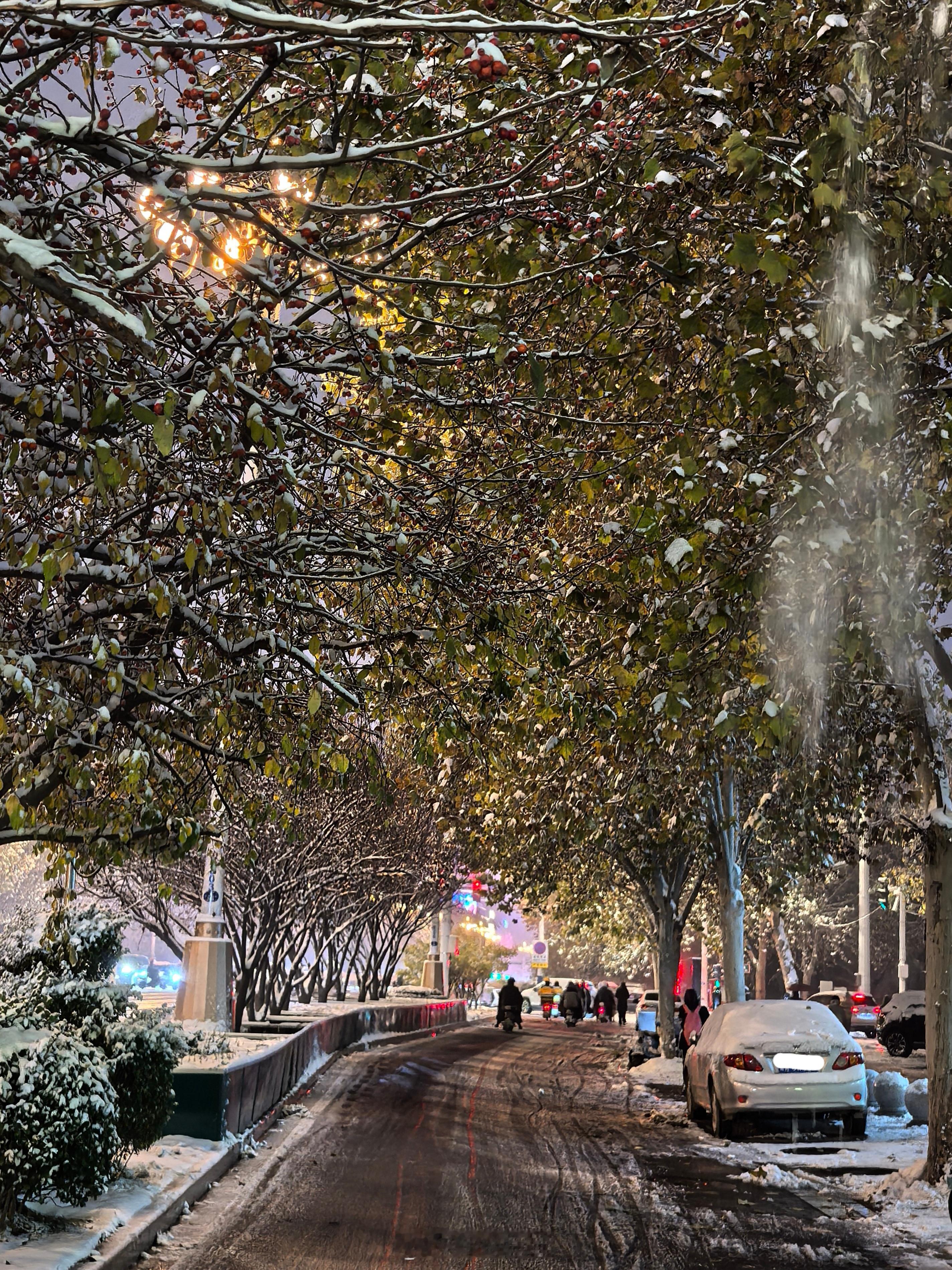 一年快到头了，一定要找块镜子好好夸夸自己！更不要总是和过去的自己过不去！就算我们