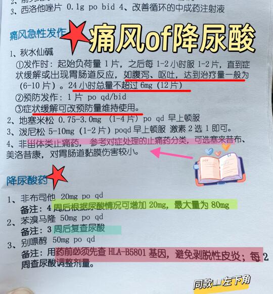 医学生宝藏笔记本-痛风和降尿酸
