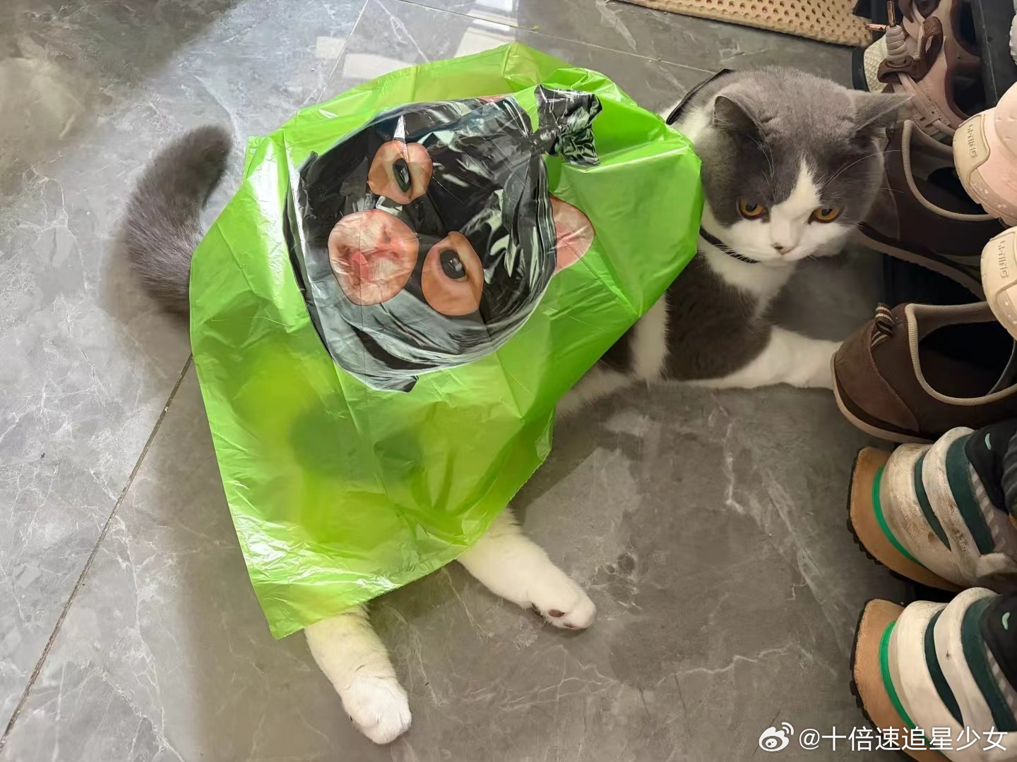 谁来管管现在的垃圾袋瑞幸头套小猫垃圾袋也太绝了😻垃圾袋都卷成这样！颜值拉满瑞幸