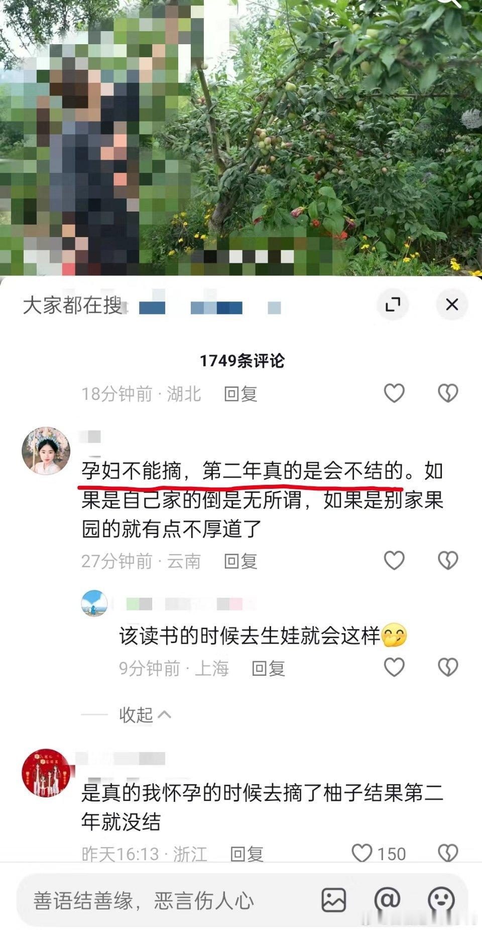 真实的果园商战：派一个孕妇把对家果园里面的树各摘一个果实。 ​​​