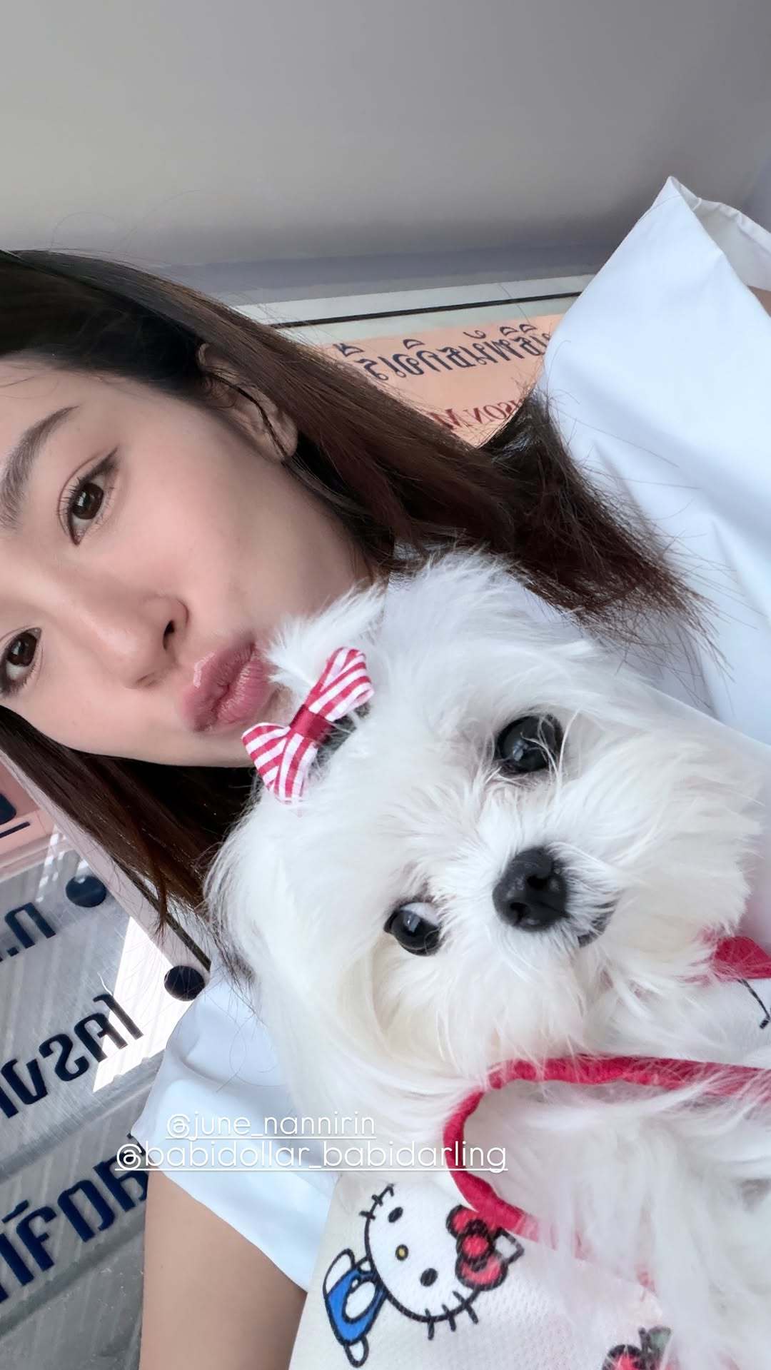 EnjoyJune🐈⬛🐶enjoyjune 狗和狗终于有合照了虽然不是dol