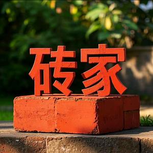 我是砖家