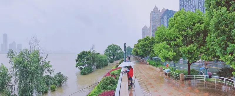 武汉这暴雨可真是来势汹汹！5月24日10时11分就发布了暴雨红色最高预警，这可是