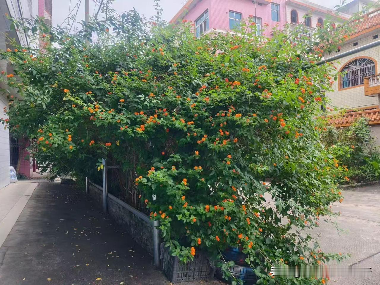 我现在都不会在乎别人如何评价我了，有人说好，当然也有说不好，不管别人怎么说我，我