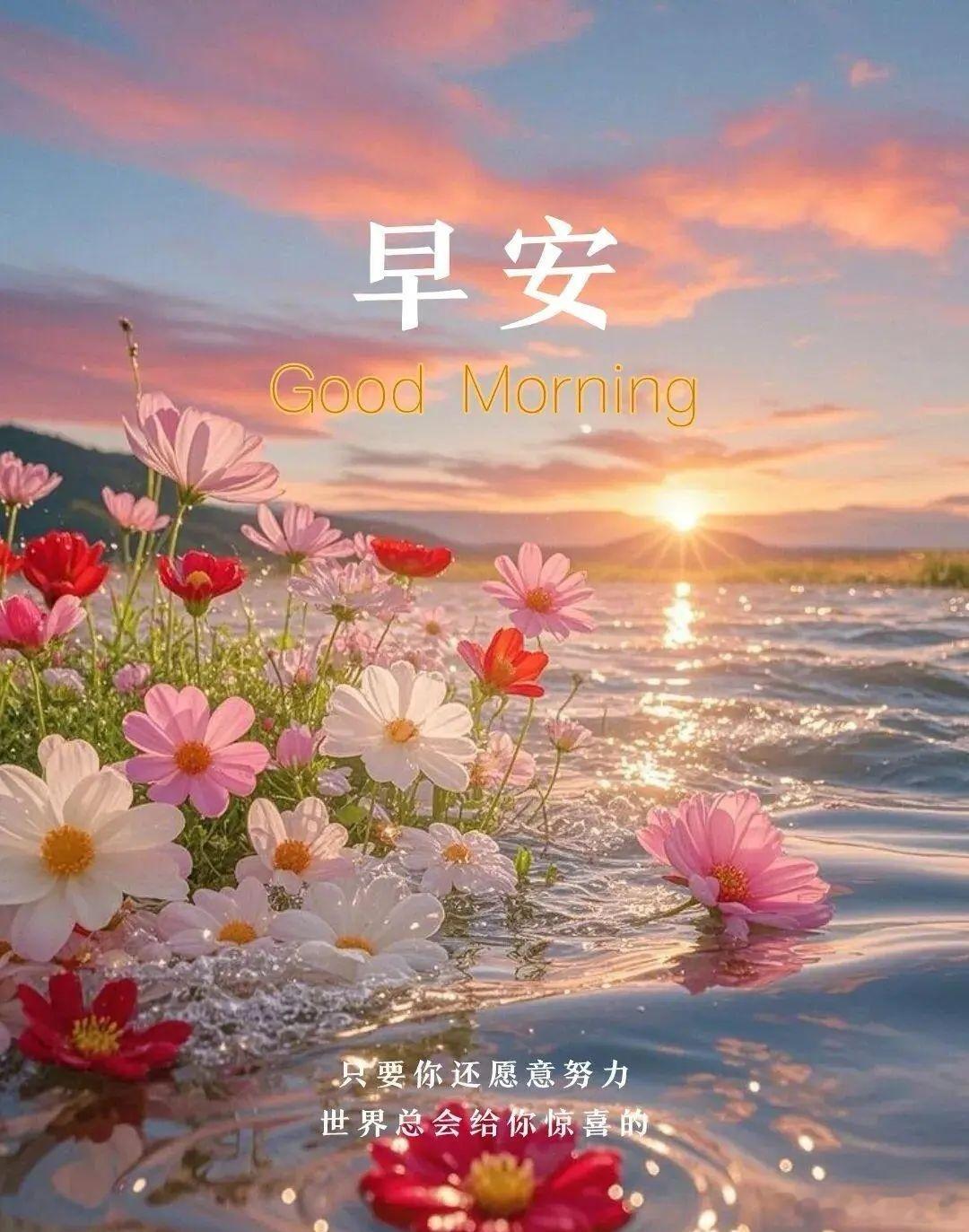早安[爱你][爱你]周末愉快[鼓掌][鼓掌] ​​​