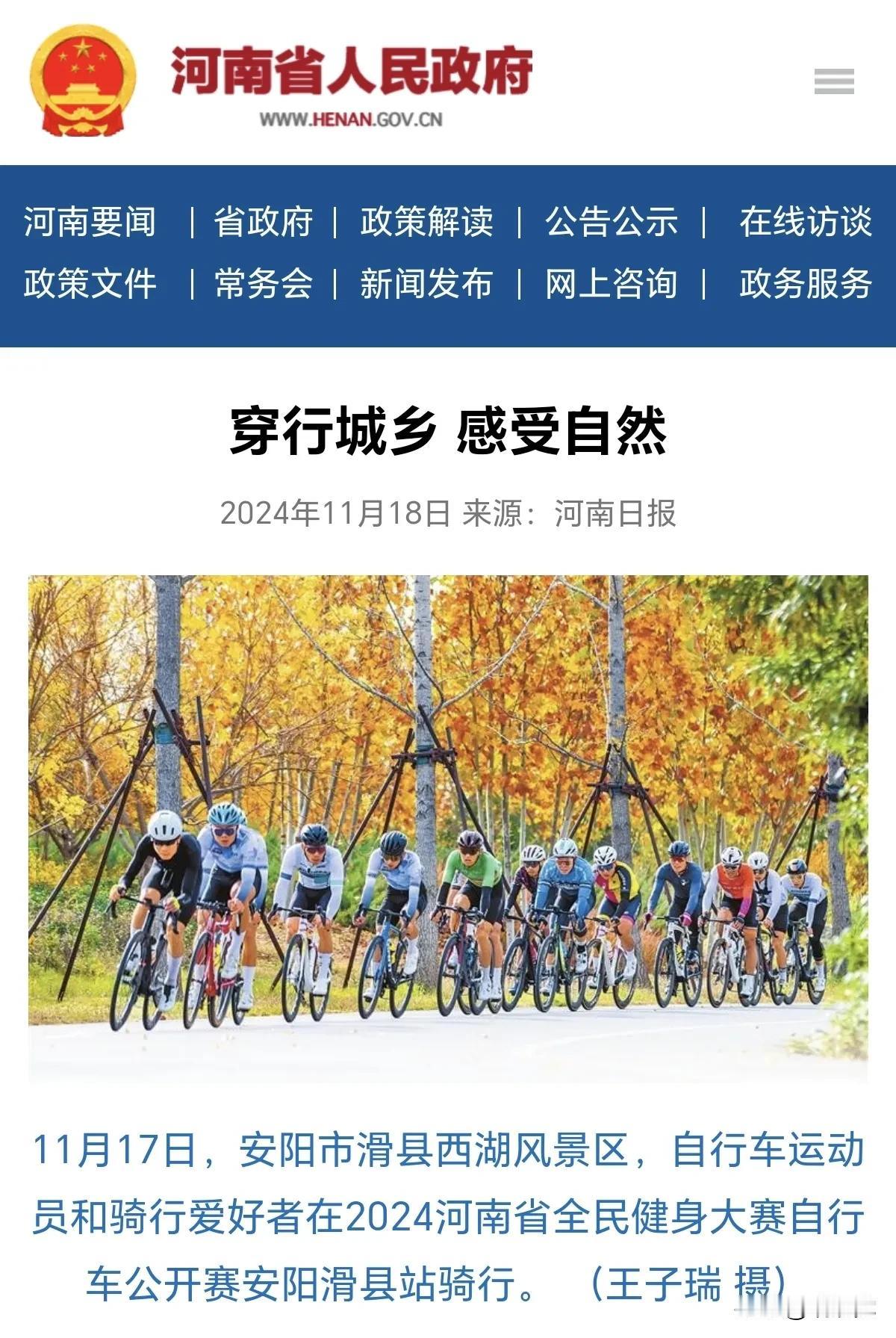 可以分享一张秋景树叶的照片吗