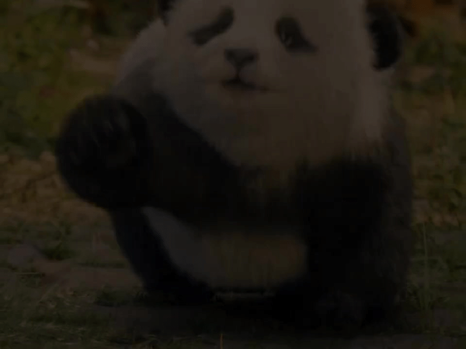 独家解锁高能量熊猫的一天原始部落的人也爱吸熊猫 这个春节档我的快乐可能是《熊猫计