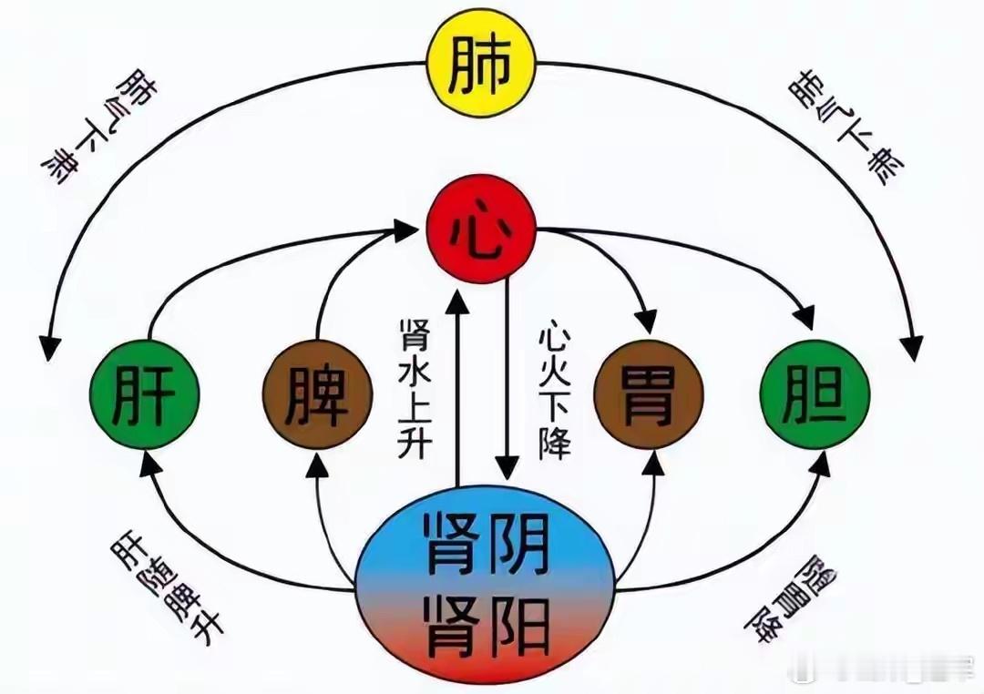 左升右降的具体含义及升降动态平衡的调理方法。左升右降是中国古代哲学和中医学的一个