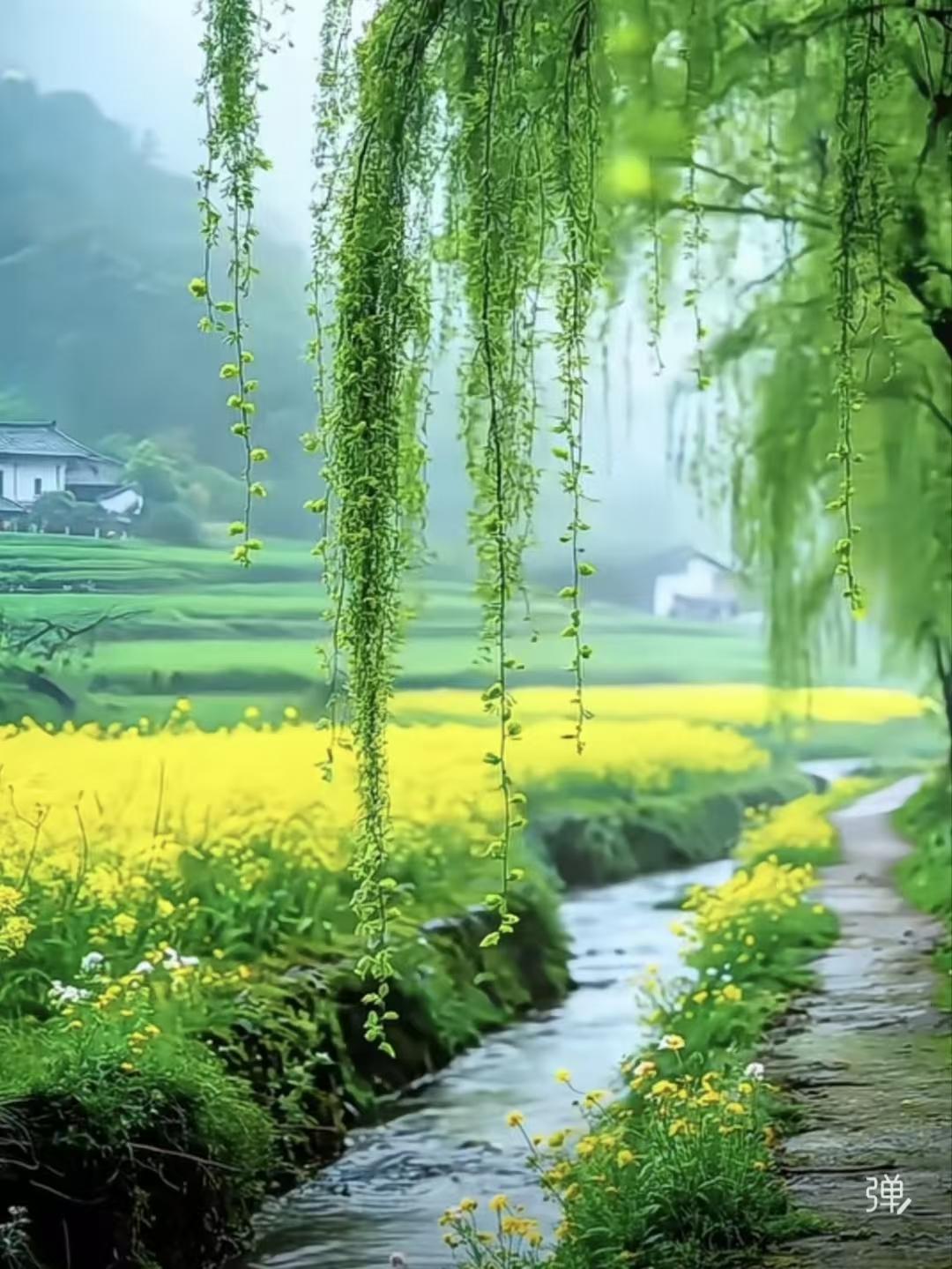 捣练子·春景
芳草碧，莺语喧，
芳菲绕径起轻烟。
细雨润青啼翠鸟，
一川春色醉流