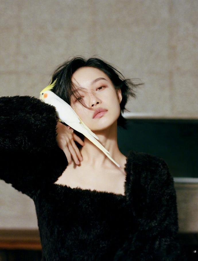 倪妮时装十二月封面倪妮时装闭年刊封面钟楚曦ELLE闭年刊封面 连续14年登封的 