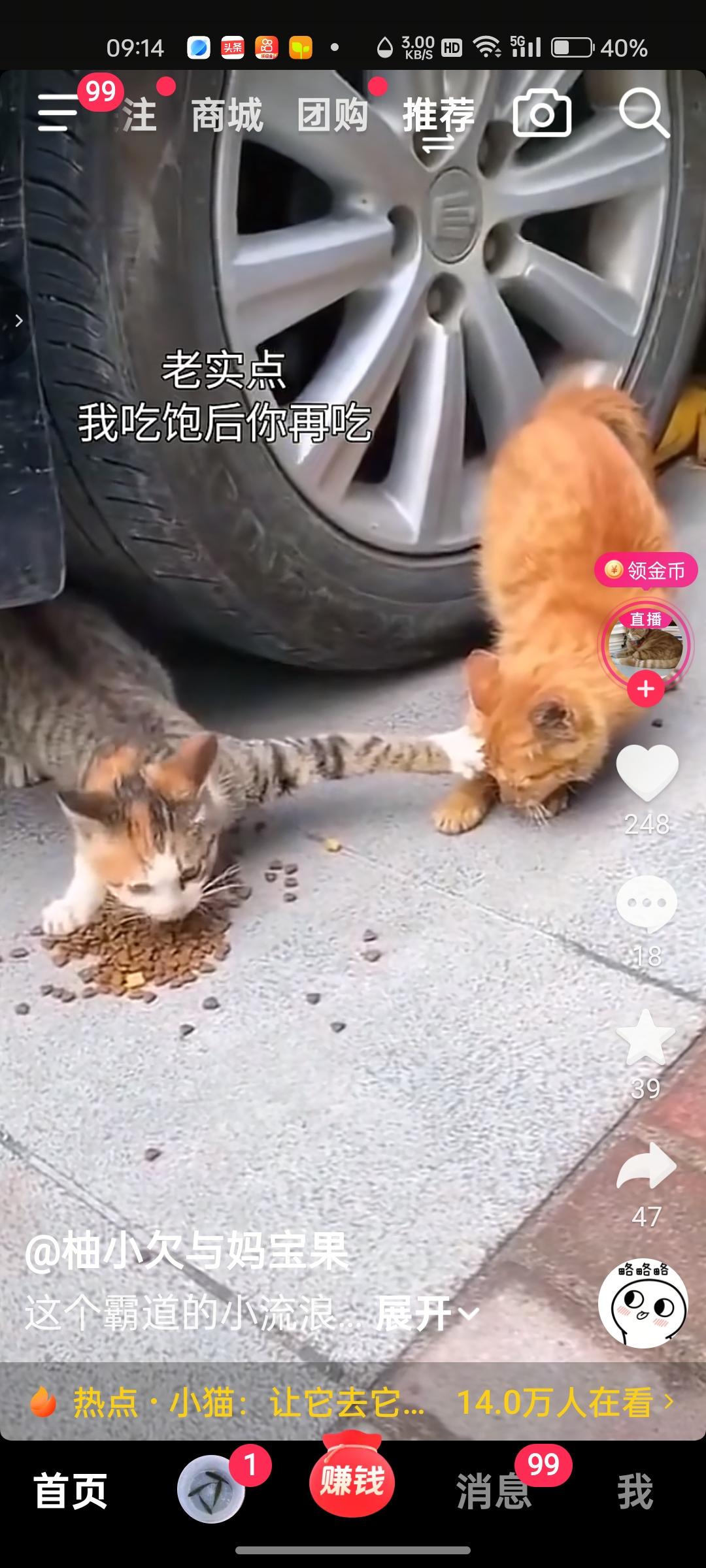 没亲临现场，没目睹全过程，不好评论，只能等官方的处理结果了！！