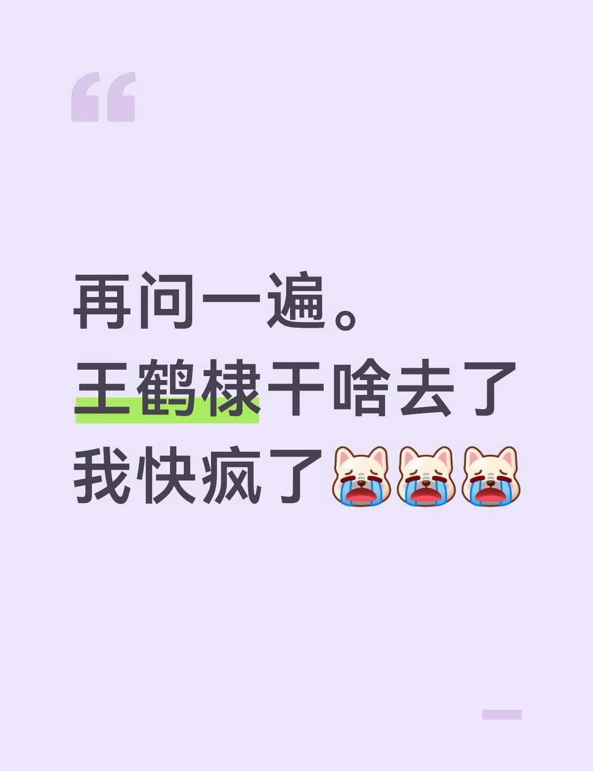 王鹤棣
