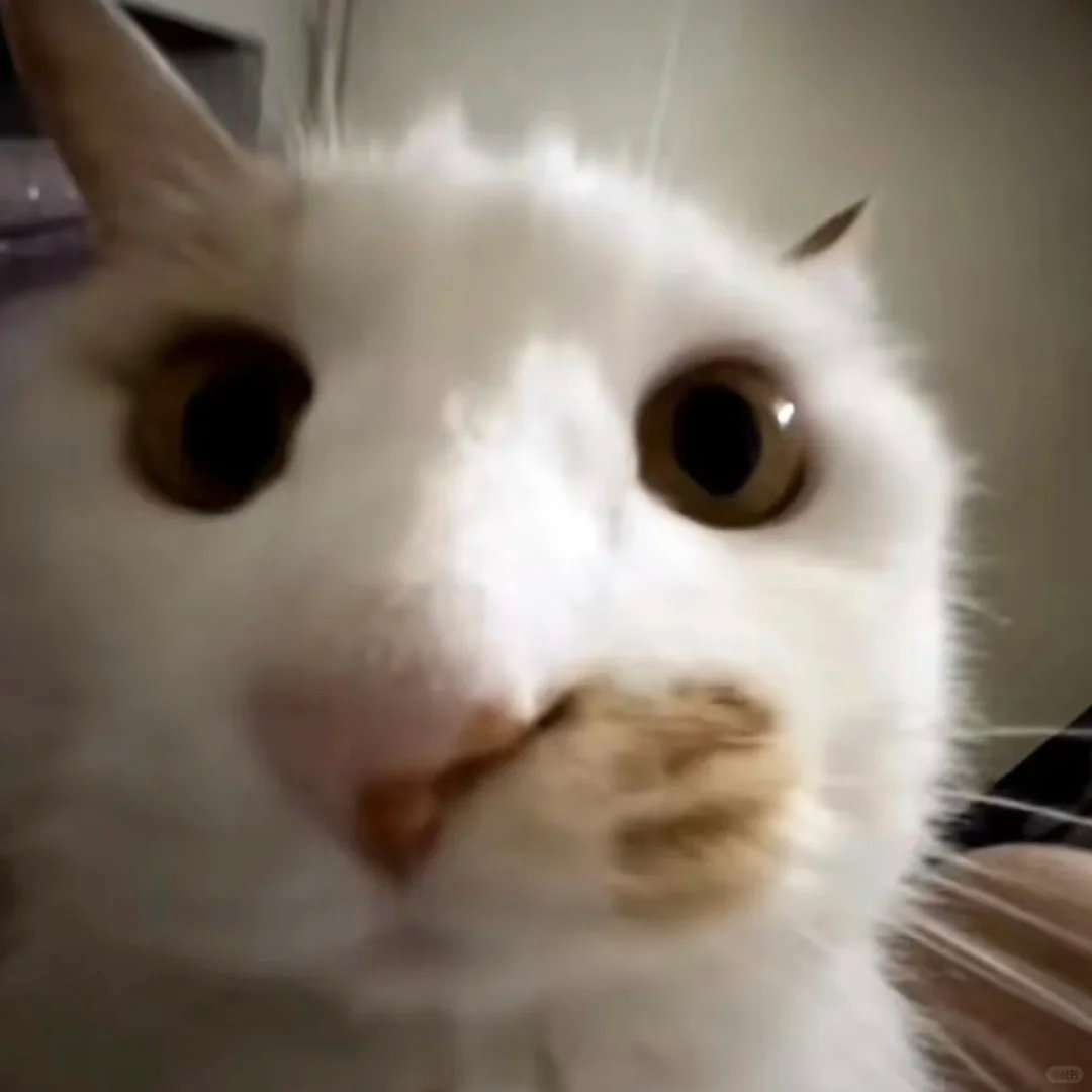 小羊和小猪、小牛一起去便利店，小猪和小牛都被打了，只有小羊没被打，因为便利店24