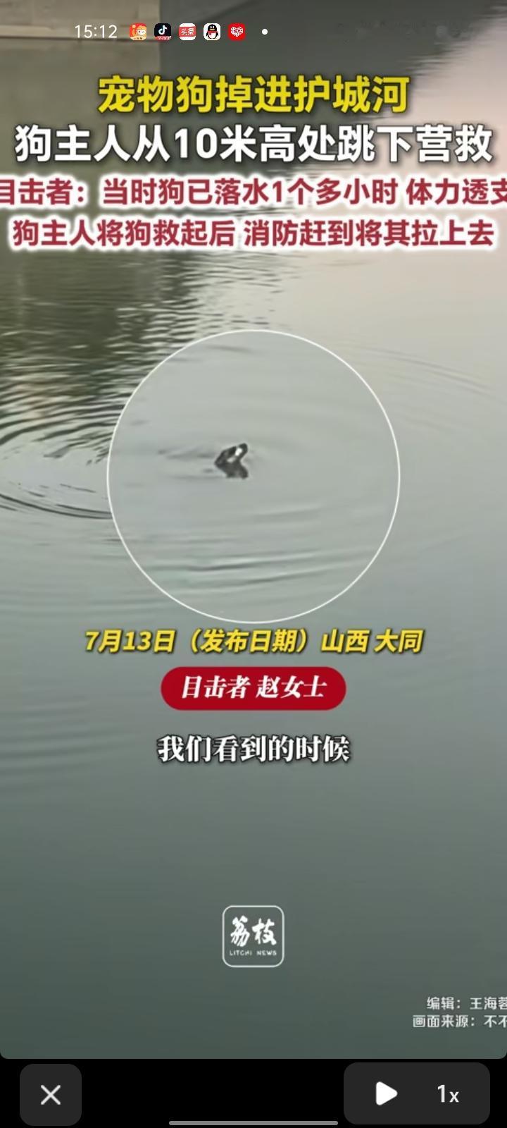 7月12日，山西大同。网友发视频称，宠物狗掉进护城河，看到的时候它已经在河里游了