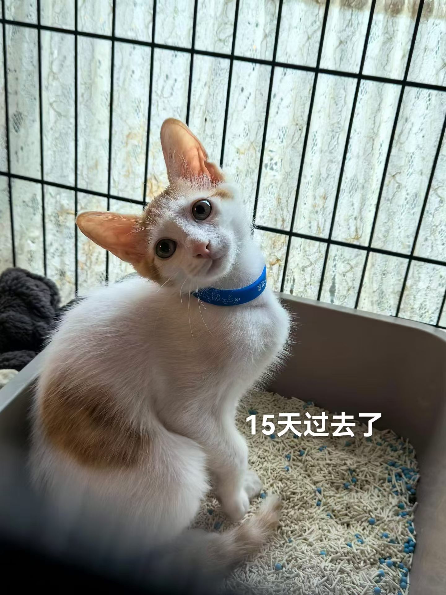 有时候真的无奈又无语，小朋友端端像垃圾一样被扔在店门口的停车场，像个烫手山芋扔给