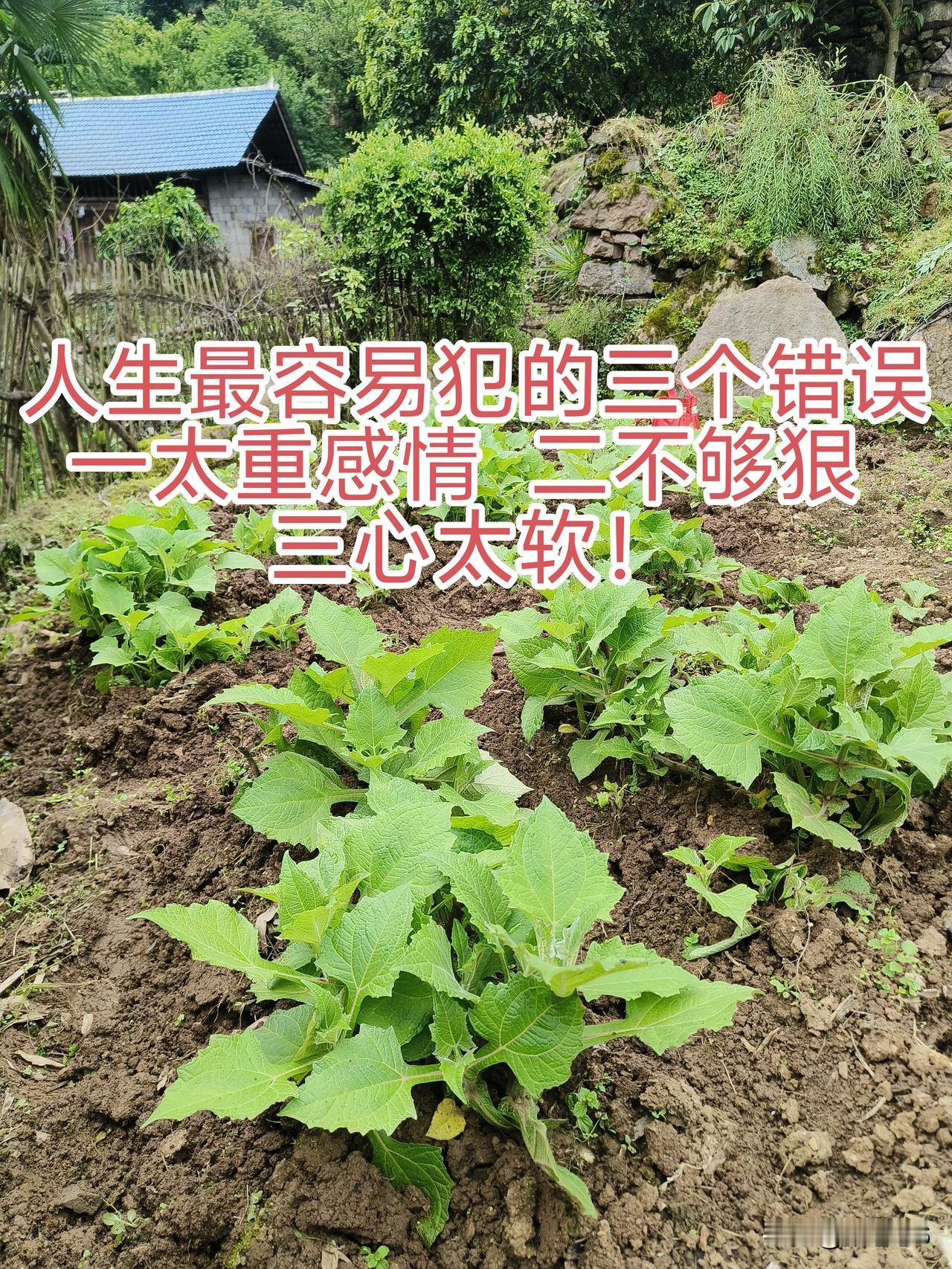 人生的这三大错误，你占了几个？