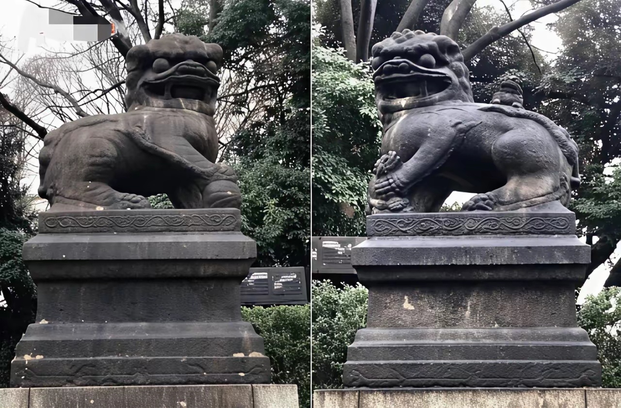 没想到日本靖国神社门口摆了百来年的那对石狮子，居然是抢咱们中国的！历史