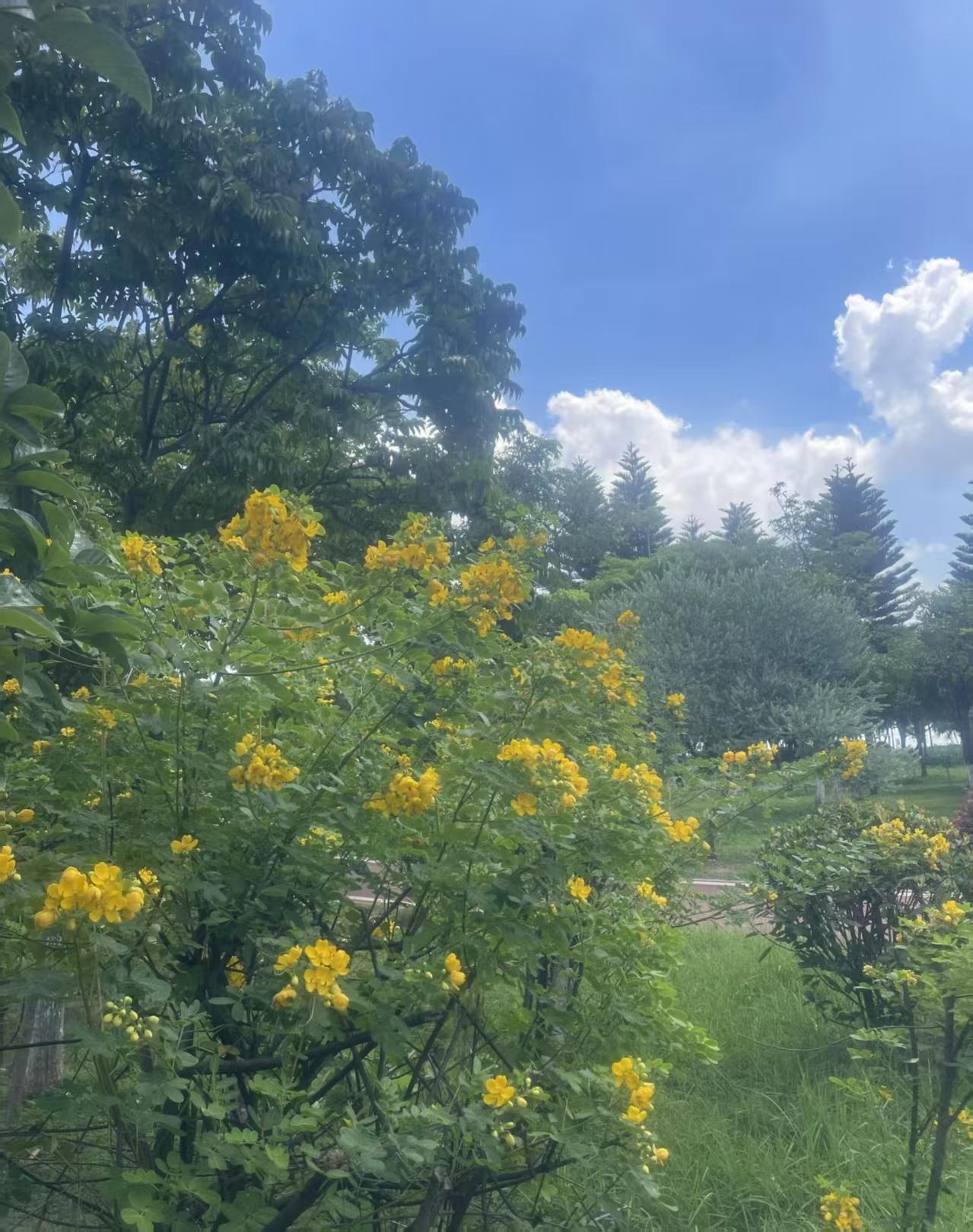 亲近谁都无妨，因为谁都不可完全依赖。无论是朋友之间，还是国家之间，本质上都受利益