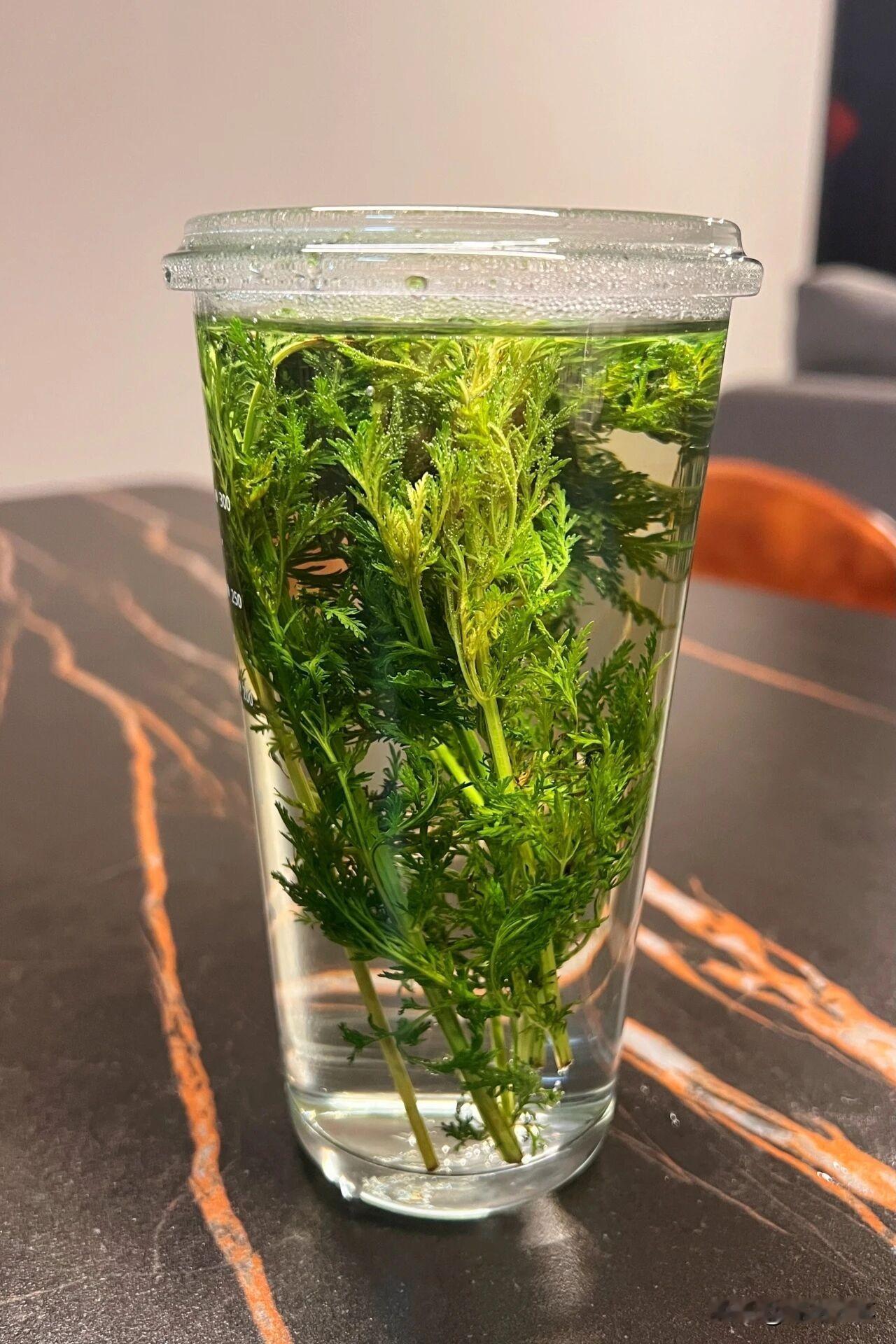 你会笑话那些吃完饭打包的人吗肯定要分情况来决定。如果是自己请客当东道主，又不是什