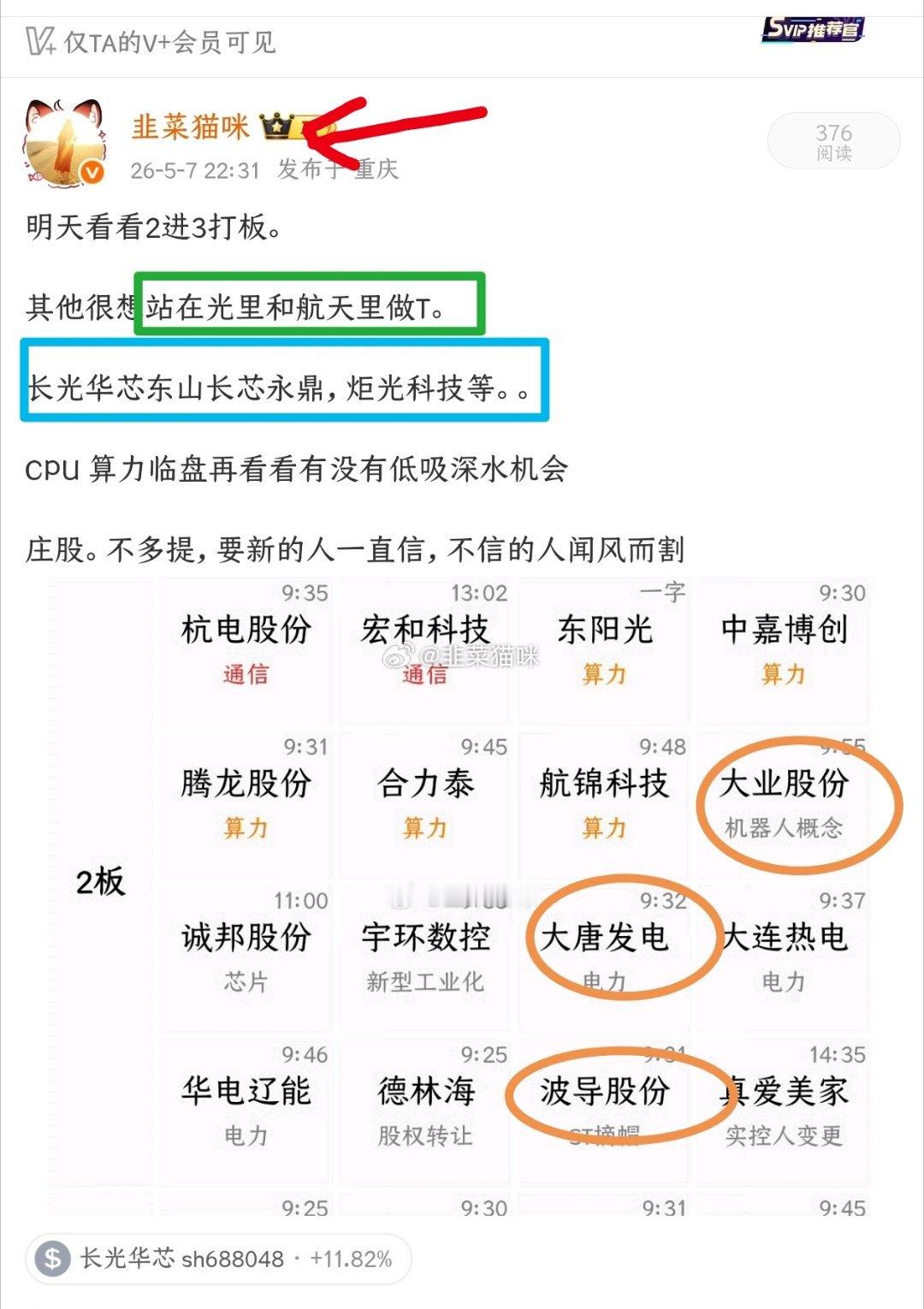 猫咪复盘