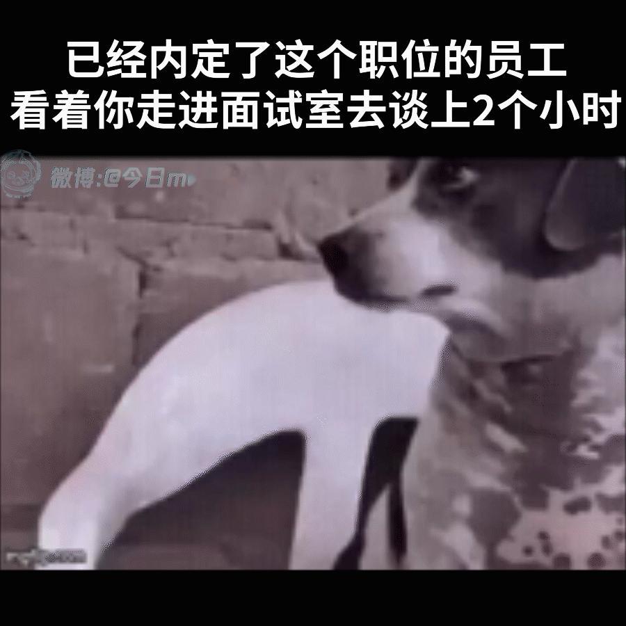 挺忙呵（9gag）今日meme今日memes