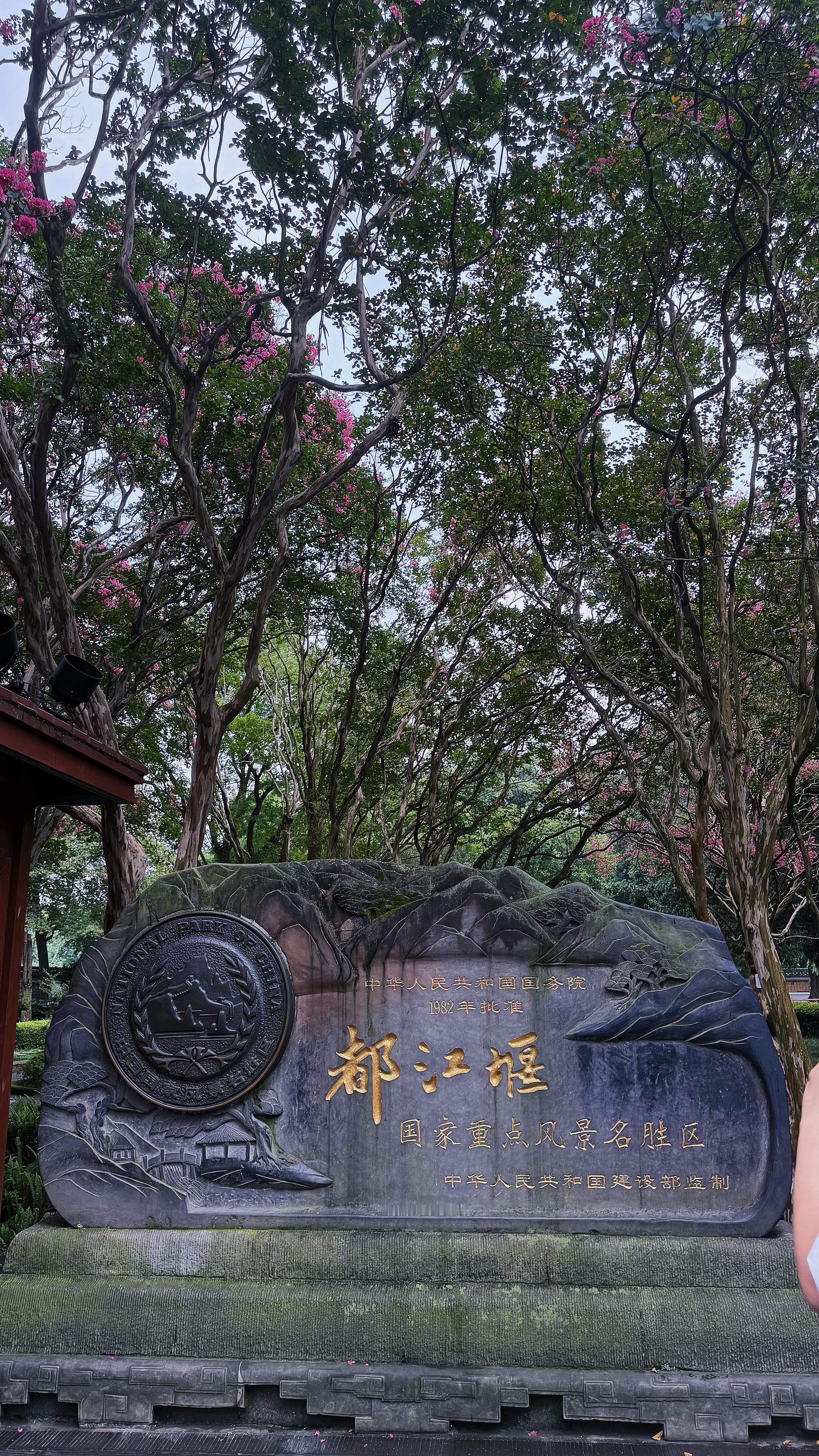 分享图片 