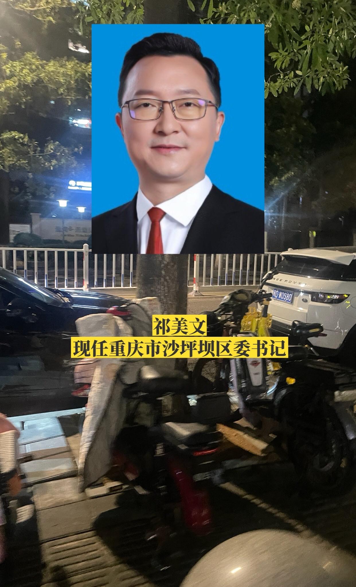 重庆沙坪坝区委领导。