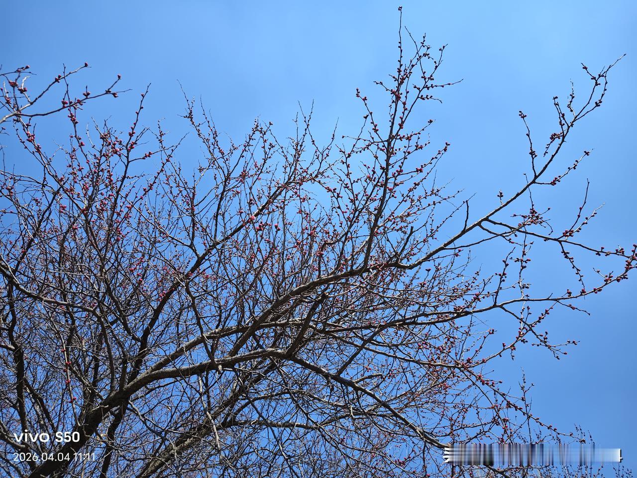 作为一个老人如果在自己的晚年生活中能完全做到以上三点，那真是人人羡慕、神仙过的日