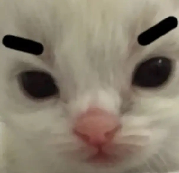 春晚大赏  春晚段子大考  今晚好几个人眉毛be like： 