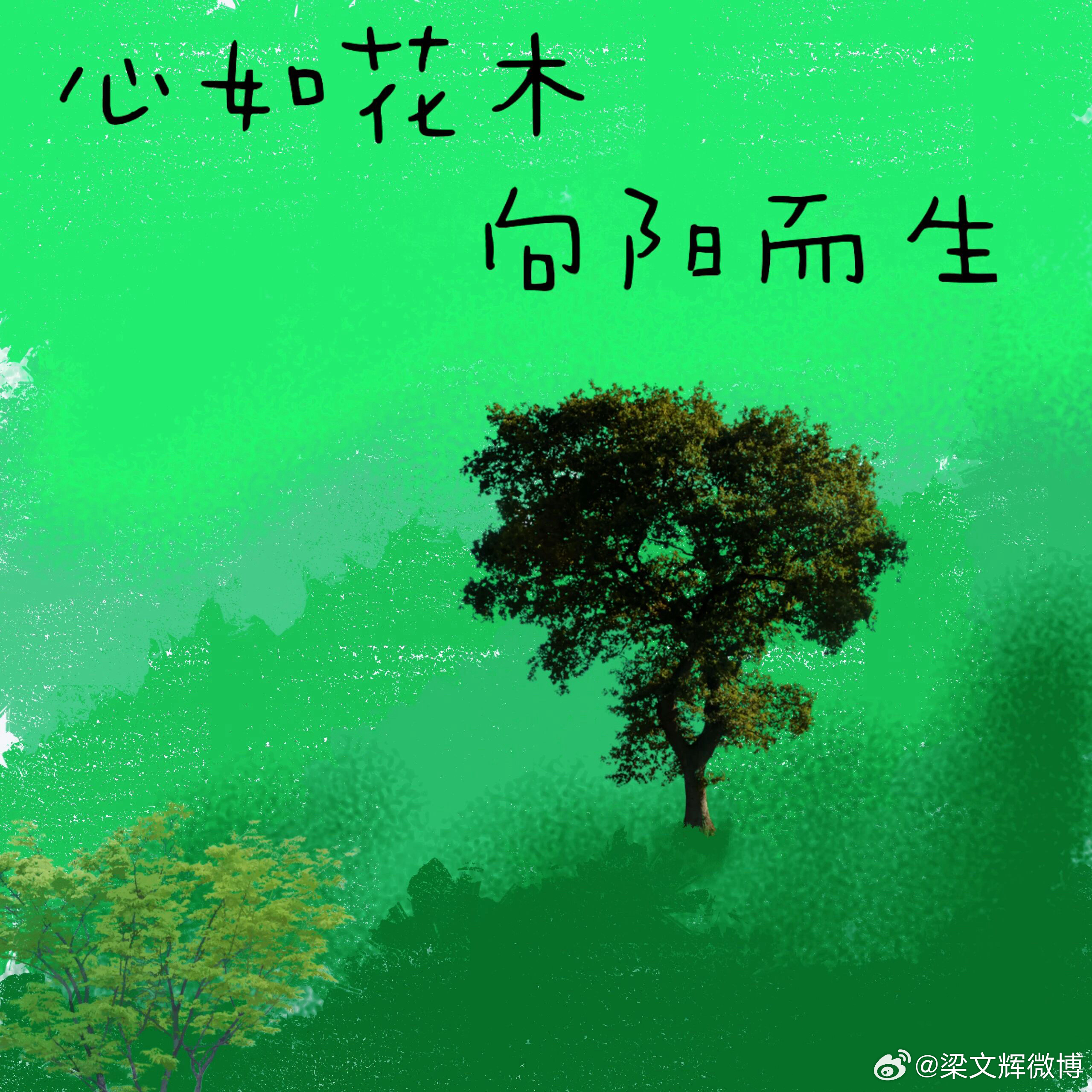 人心如花木，皆向阳而生。 惠州·惠州白鹭湖雅居乐喜来登度假旅游酒店