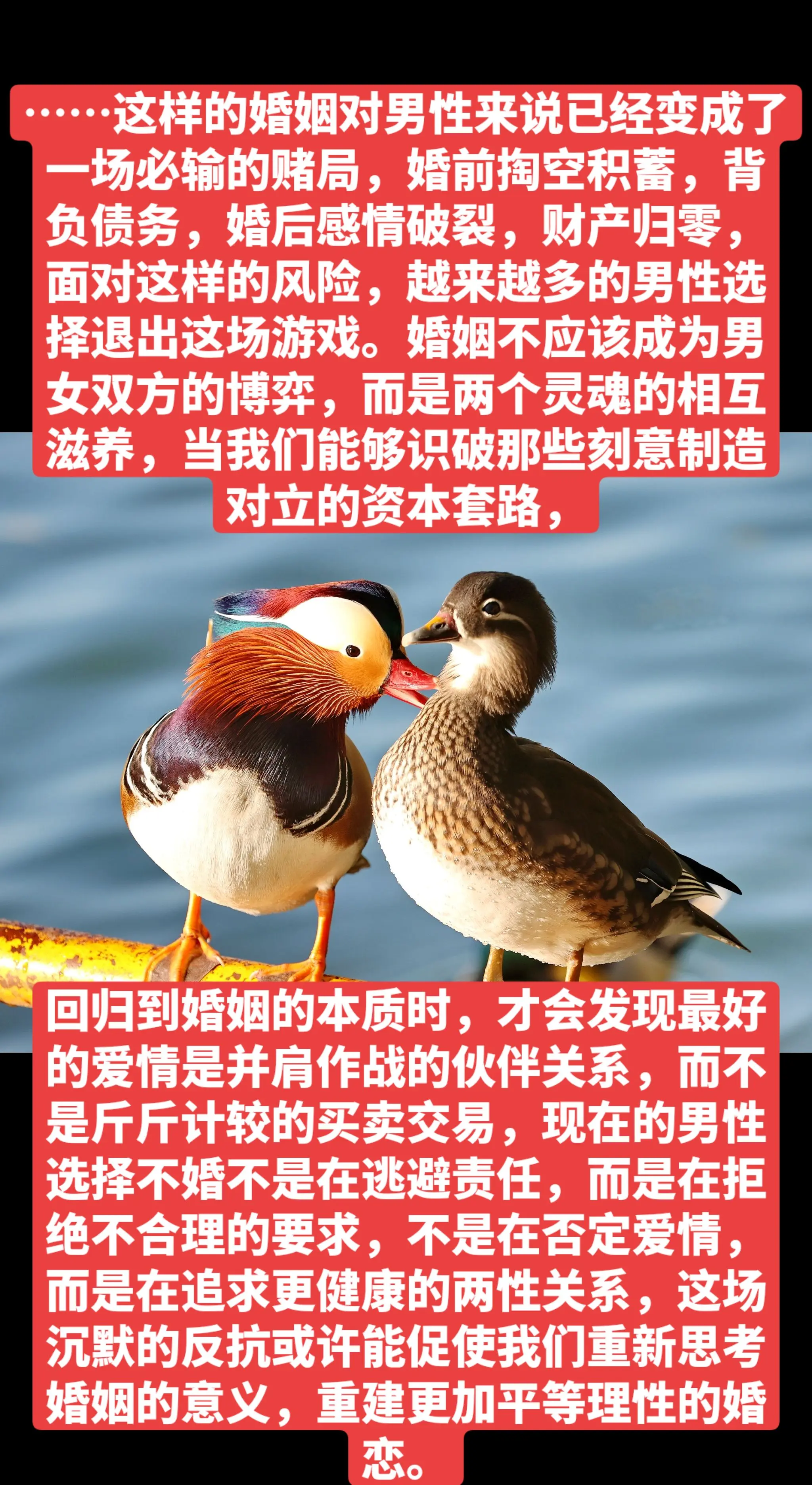 ……这样的婚姻对男性来说已经变成了一场必输的赌局， ，背负债务，婚后感...