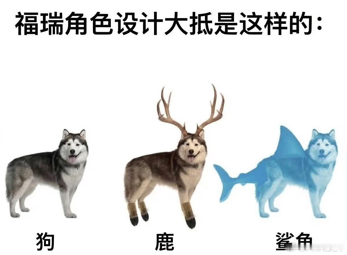 对于“民族自主品牌汽车”，我一般分两类：1.造车的，有意思我就喜欢，没意思我就不