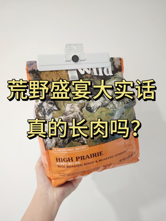 车座子柯基建议再养养。。。